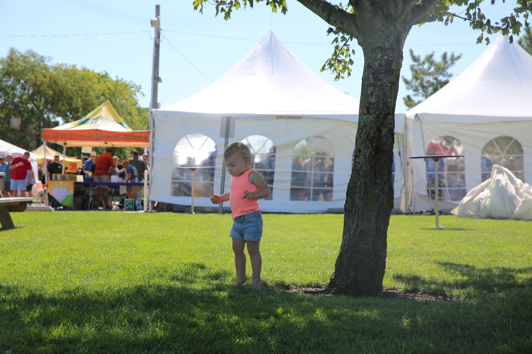 Downbeach Seafood Festival Saturday, Sept. 7, 2019 at Ski Beach in Ventnor